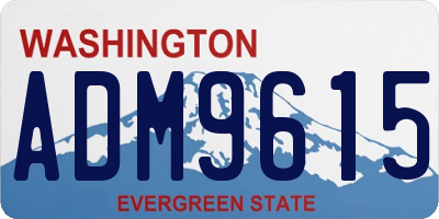 WA license plate ADM9615