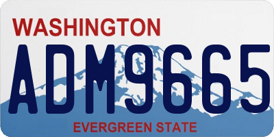 WA license plate ADM9665
