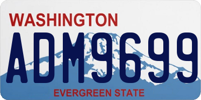 WA license plate ADM9699