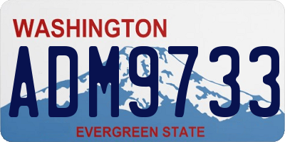 WA license plate ADM9733