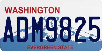WA license plate ADM9825