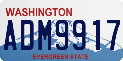 WA license plate ADM9917