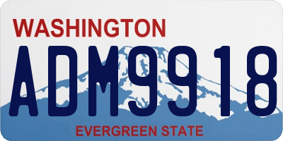 WA license plate ADM9918