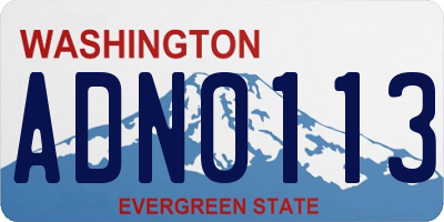 WA license plate ADN0113