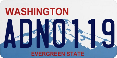 WA license plate ADN0119