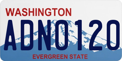 WA license plate ADN0120