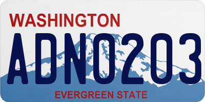 WA license plate ADN0203