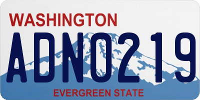 WA license plate ADN0219