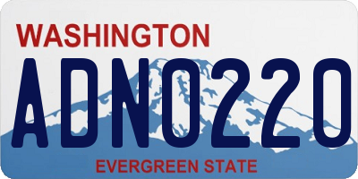 WA license plate ADN0220