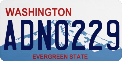 WA license plate ADN0229