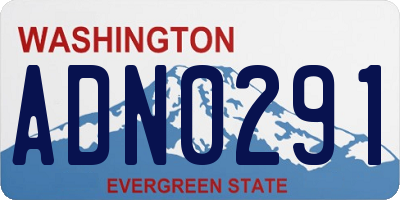 WA license plate ADN0291