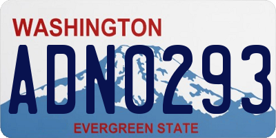WA license plate ADN0293