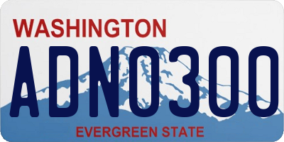 WA license plate ADN0300