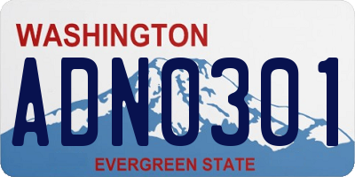 WA license plate ADN0301
