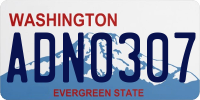 WA license plate ADN0307