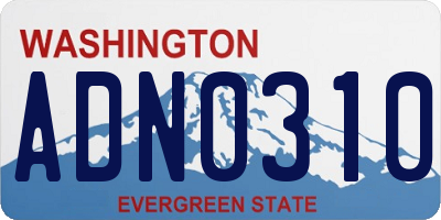 WA license plate ADN0310