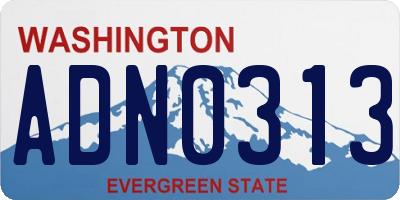WA license plate ADN0313