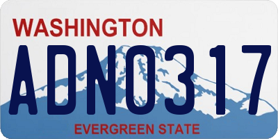WA license plate ADN0317