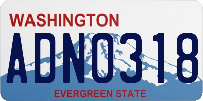 WA license plate ADN0318