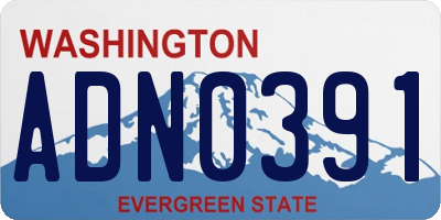 WA license plate ADN0391