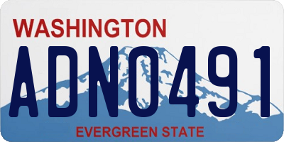 WA license plate ADN0491