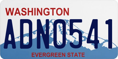 WA license plate ADN0541