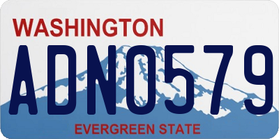 WA license plate ADN0579