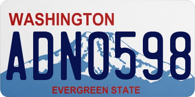 WA license plate ADN0598