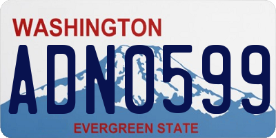 WA license plate ADN0599