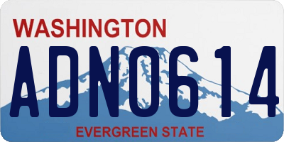 WA license plate ADN0614