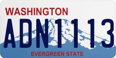 WA license plate ADN1113