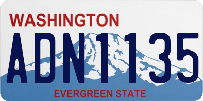 WA license plate ADN1135