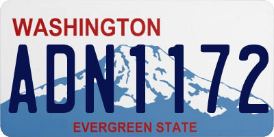 WA license plate ADN1172