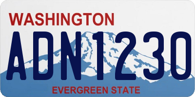 WA license plate ADN1230