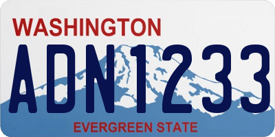 WA license plate ADN1233