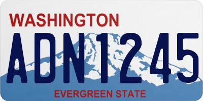 WA license plate ADN1245