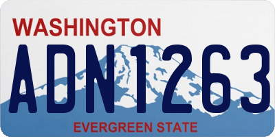 WA license plate ADN1263