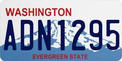 WA license plate ADN1295