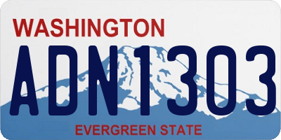WA license plate ADN1303