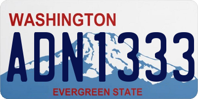 WA license plate ADN1333