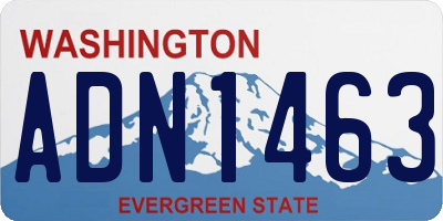 WA license plate ADN1463