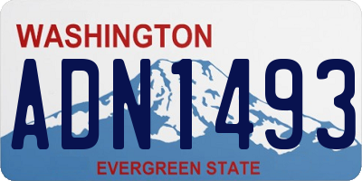 WA license plate ADN1493