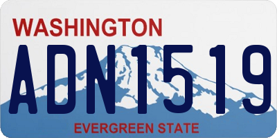 WA license plate ADN1519