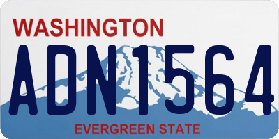 WA license plate ADN1564