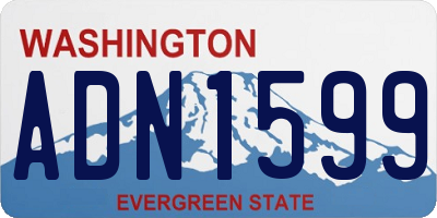 WA license plate ADN1599