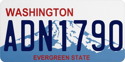 WA license plate ADN1790