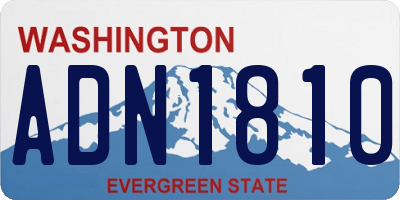 WA license plate ADN1810