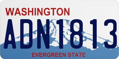 WA license plate ADN1813