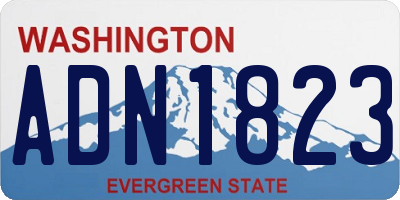 WA license plate ADN1823