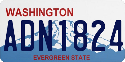 WA license plate ADN1824